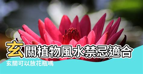 玄關放花|玄關可以放花嗎？